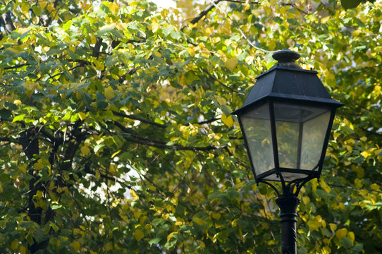 candelabre