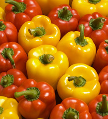 Background from juicy red and yellow pepper