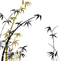 Silhouette of branches of a bamboo on a white background