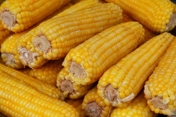 Pile of corn