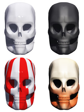 High resolution 3d human skulls rendered in different materials