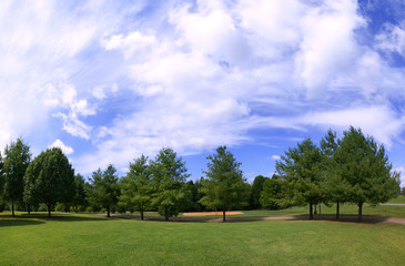 Panorama of a park on a summer's day with beautiful sky.