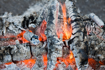 the glow of embers, close up photo