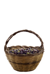 Fototapeta na wymiar Sardynii handmade trzciny kosz pełen oliwek organicznych
