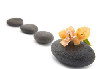 Fototapeta na wymiar zen stones with bouganvilla flowers isolated. spa background
