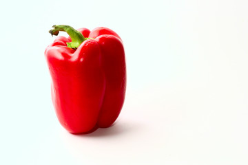 Red sweet bulgarian pepper