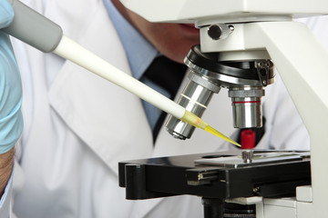 Scientist, pharmacistr chemist analyses under microsocpe.