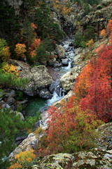 corsica's river asco
