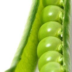 peas isoladed on white macro close up