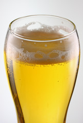 Beer in Pilsner Glass