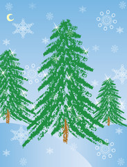 Evening winter landscape with fur-trees a vector