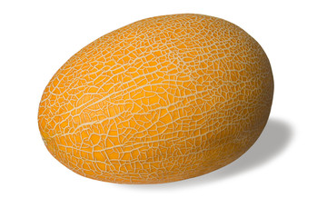 Muskmelon isolated on white background