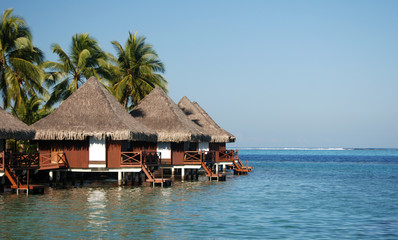 bungalow tahiti bora bora