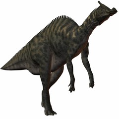 Obraz na płótnie Canvas Saurolophus Angustirostris-3D Dinosaurier