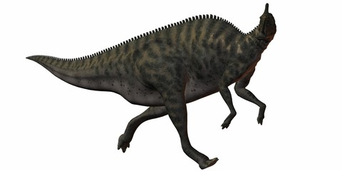 Saurolophus Angustirostris-3D Dinosaurier
