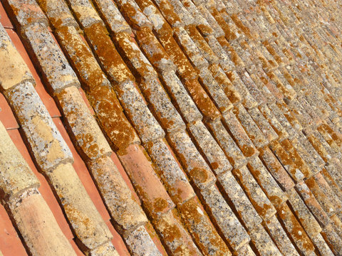 Roof tiles