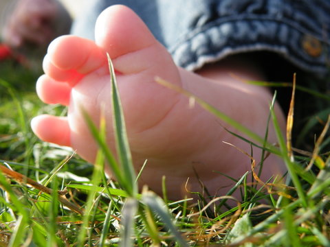 pied b&eacute;b&eacute; herbe