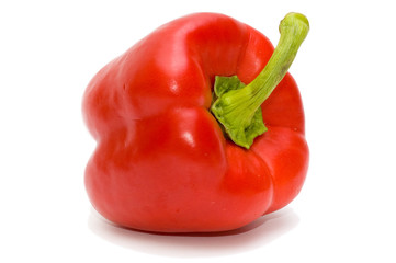 Red sweet paprica pepper, isolated on white