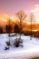 Winter at Bretton Woods, New Hampshire..