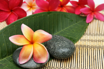 spa and wellness scene