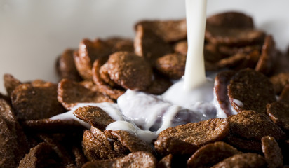 Chocolate Cereals with pouring milk. Shallow DOF