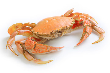 Crab