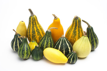 Group of small pumpkin isolated on white