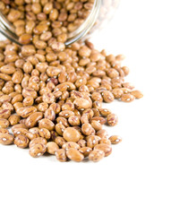 Brown kidney beans spilling out of jar.