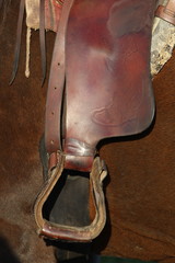 étrier © Dominique VERNIER