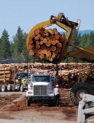 Log truck unloading