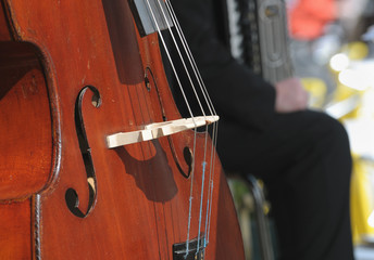 Sound of woods: double bass detail