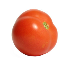 one tomato on white background