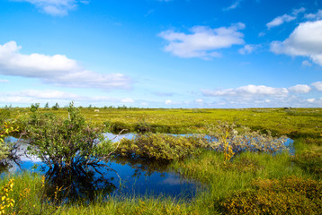 north mountain tundra and small lake