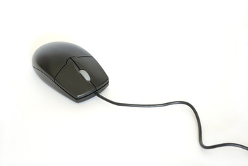 computer mouse