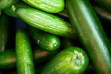 closeup of cucumbers