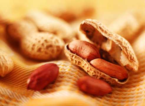 Brown peanut nut with shell on yellow
