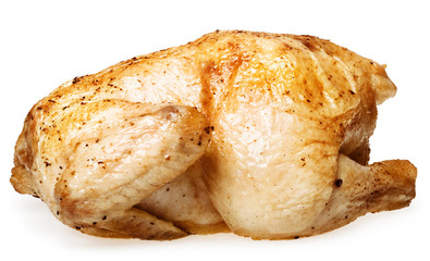 chicken isolated on white background