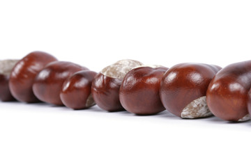 Chestnuts being in the row against the white background