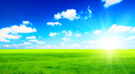 Fototapeta na wymiar idealne pole zielone i nieba