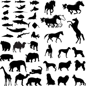 animal silhouette vector