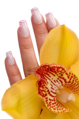 fingernagel