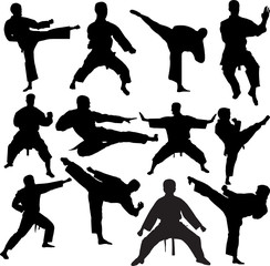 karate collection