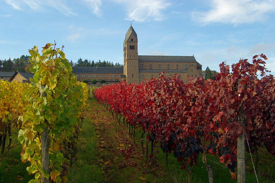 R&uuml;desheim Abtei St. Hildegard - Ruedesheim Eibingen Abbey 12