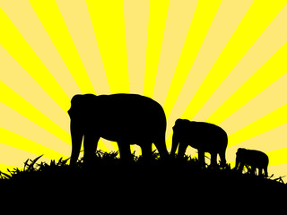 Fototapeta na wymiar elephants illustration