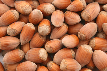 background make of fresh hazelnuts