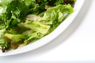 salad isolated on white background