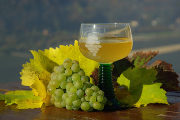 Federweißer - new wine 12 © LianeM