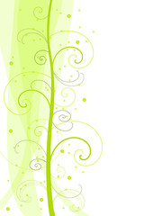 Obraz premium floreal background