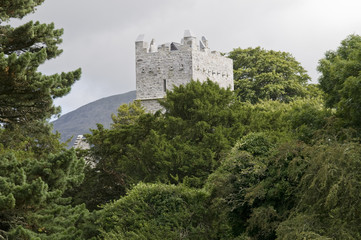 Fototapeta na wymiar Irland, Co. Kerry, Killarney, Muckross Abbey