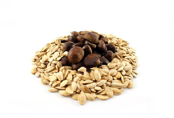 chestnuts and seeds
